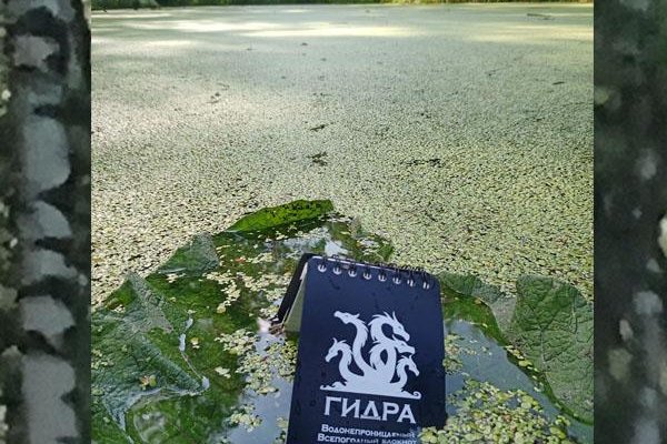 Даркнет зеркало