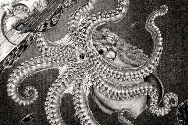 Www kraken 20at net