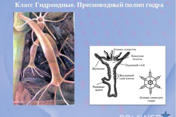 Кракен даркнет kraken link24 info