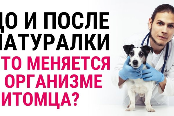 Через какой браузер зайти на кракен